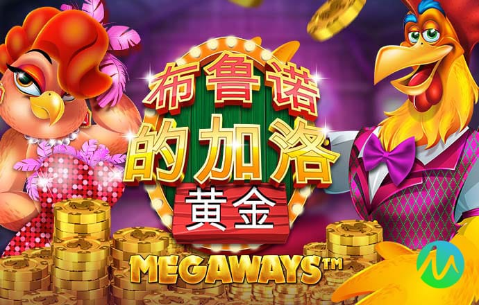 42982金牛网论坛开奖